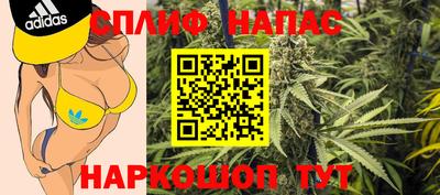 стафф Донской