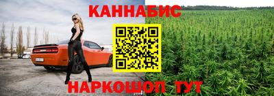 амф Дубна