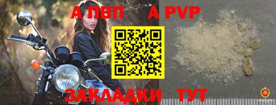 стафф Донской