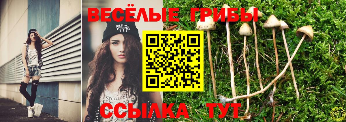Галлюциногенные грибы MAGIC MUSHROOMS Ликино-Дулёво